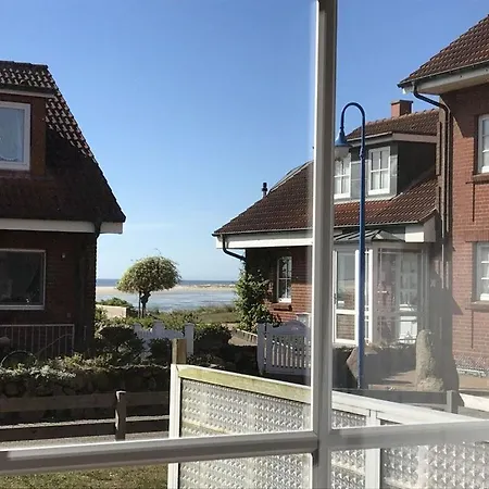 Eiderente * Wittdün